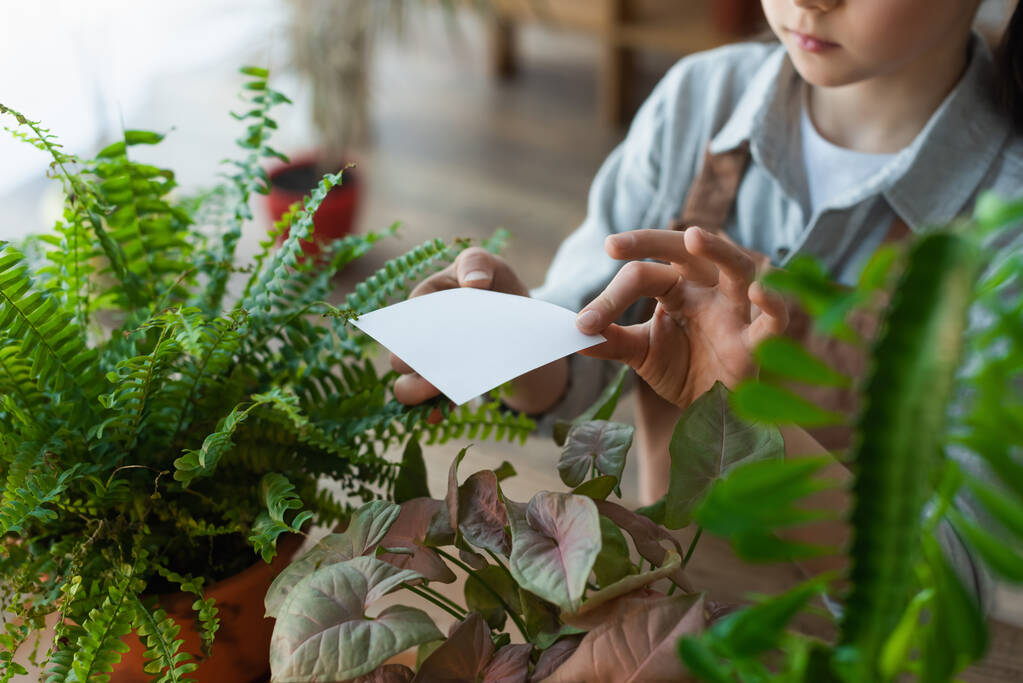 自宅で植物の近くに粘着性のあるノートを保持している女の子の作物ビュー  - 写真・画像