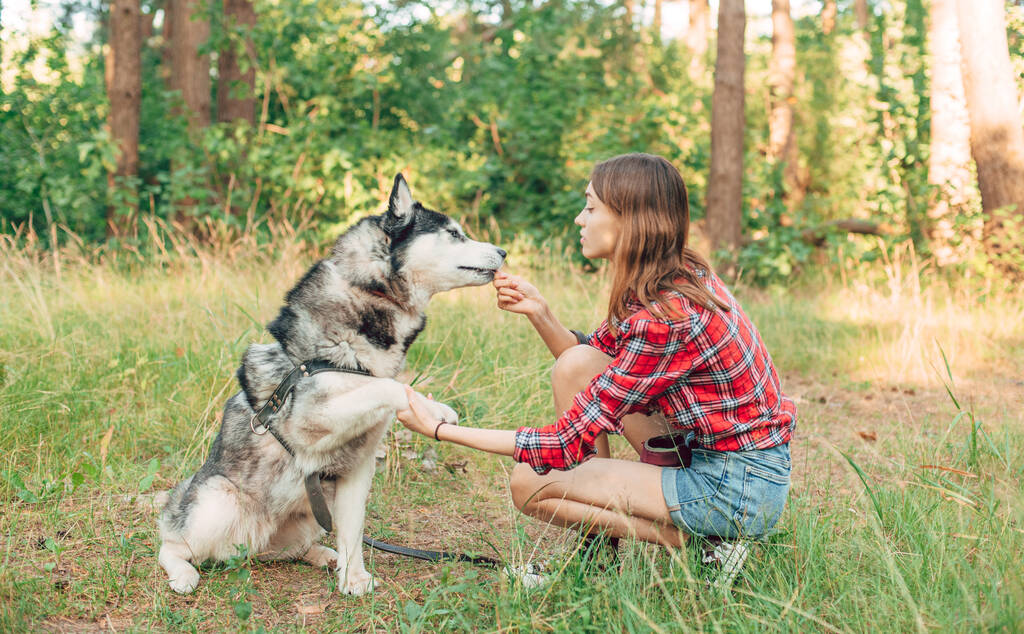 Девочка-подросток играет и веселится со своей сибирской собакой-хаски. Девушка с собакой в лесу - Фото, изображение