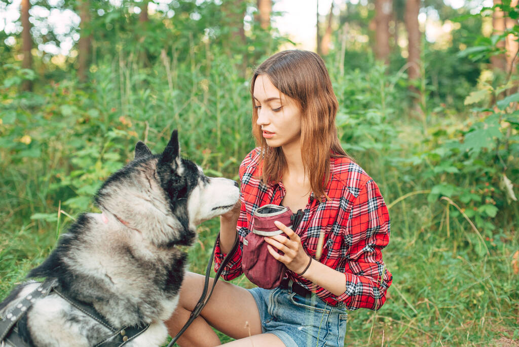 tinédzser lány játszik és szórakozik a szibériai husky kutyájával. Lány kutyával az erdőben - Fotó, kép