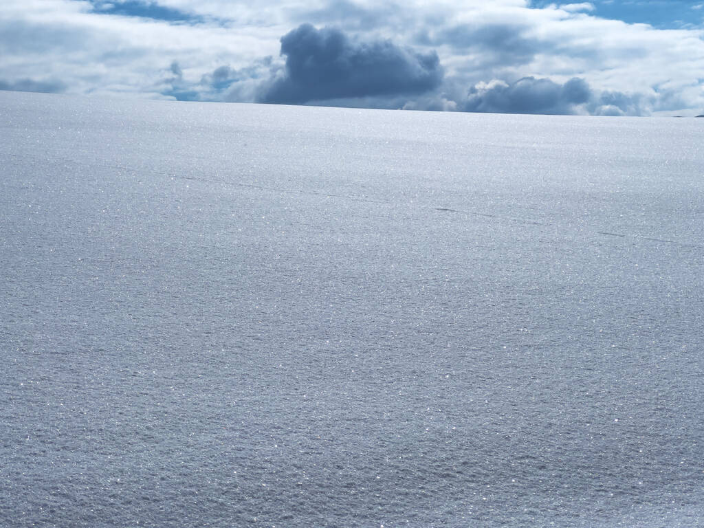 Чистый белый снег над горой Златибор зимой как абстрактный сезонный фон - Фото, изображение