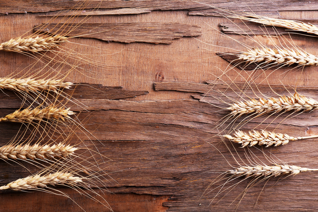 spikelets buğday - Fotoğraf, Görsel