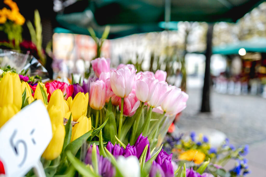 цветочный киоск на площади Плац Сольный возле центральной рыночной площади во Вроцлаве осенью - Фото, изображение