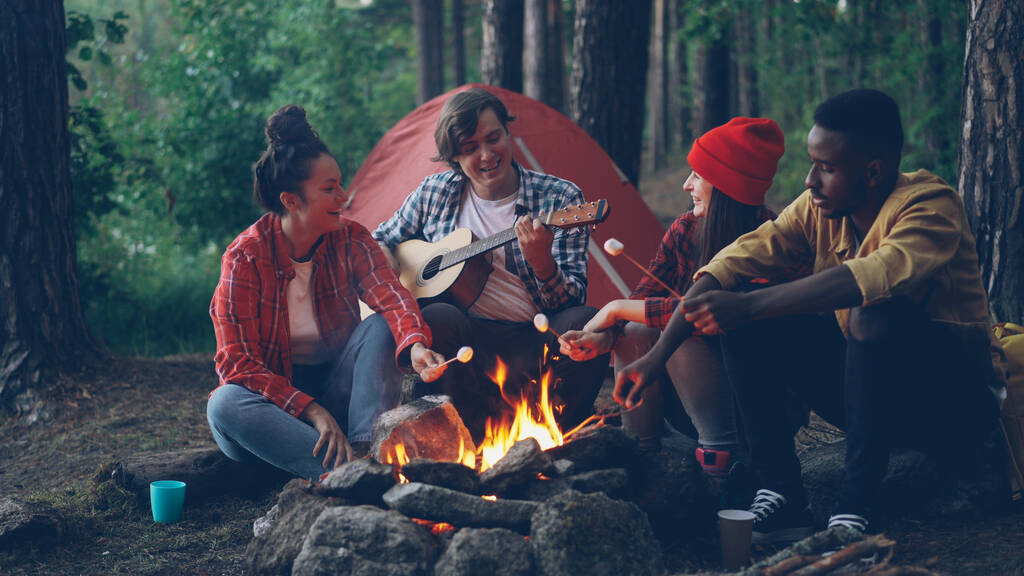 Tevreden wandelaars koken marshmallow op brand en liedjes zingen terwijl knappe jongen gitaar tijdens het uitje in het bos spelen is. Natuur, voedsel, plezier en vriendschap concept. - Foto, afbeelding