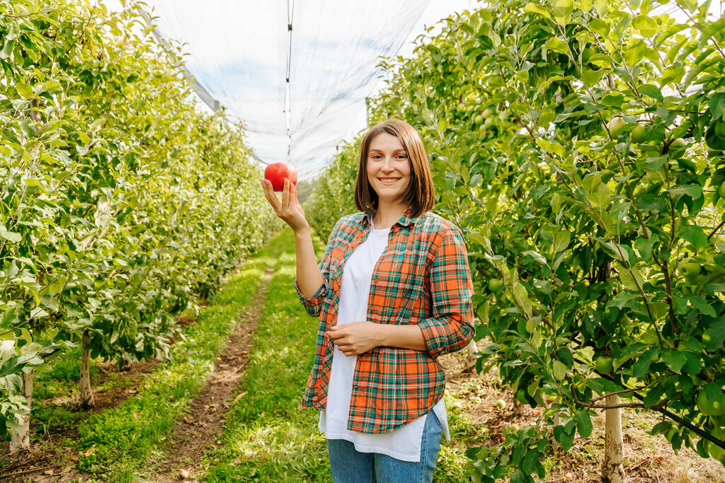 Женщина-фермер с яблоком в руках стоит между рядами улыбающихся фруктовых деревьев. Счастье в глазах девушки с короткой стрижкой и каштановыми волосами. Вид спереди, глянцевая камера. - Фото, изображение
