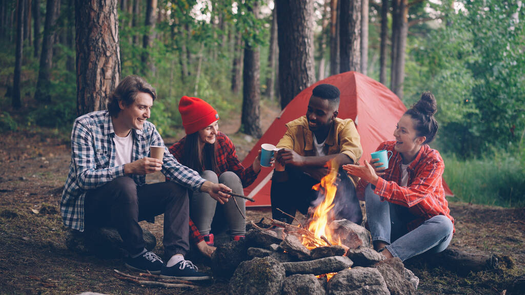 gruppo multietnico di amici caucasici e afroamericani sono seduti in legno intorno al fuoco con gli occhiali, parlando e sorridendo, fiamma luminosa si muove. - Foto, immagini