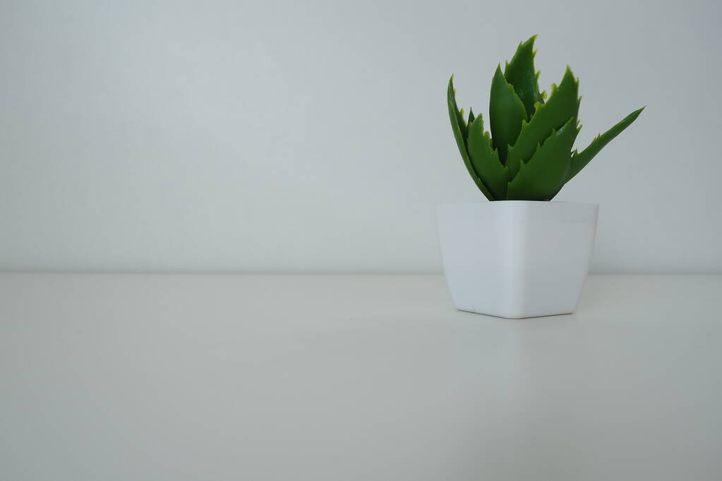 Inneneinrichtung. Künstliche grüne Pflanze in einem weißen kleinen Topf vor einer weißen Wand. Immergrüne Imitation von Aloe, Sansevier oder Kalanchoe zur Dekoration von Büro, Zimmer oder Wohnung - Foto, Bild