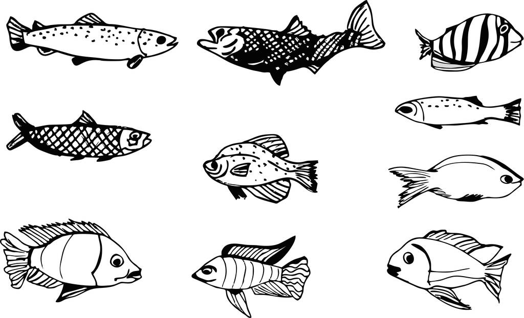 Σύνολο ψαριών που σχεδιάζουν μαύρο διάνυσμα - Διάνυσμα, εικόνα