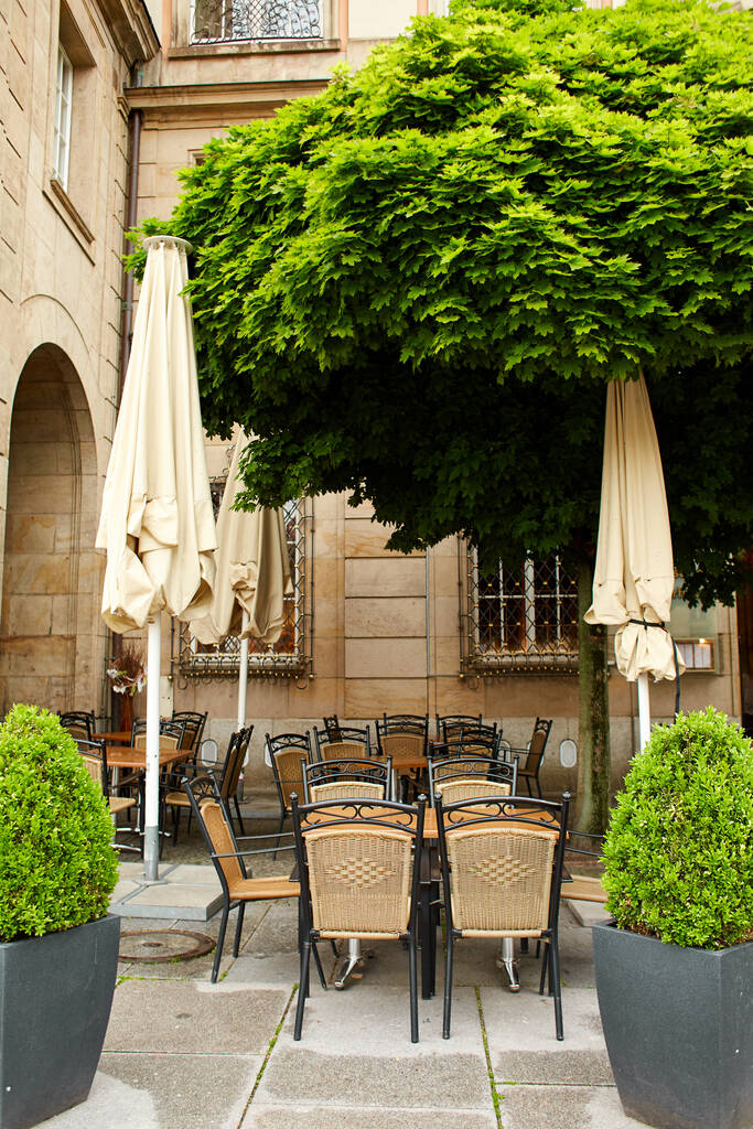 private restaurant site in the center of the city. Tables are placed under well-maintained trimmed trees. - Photo, Image