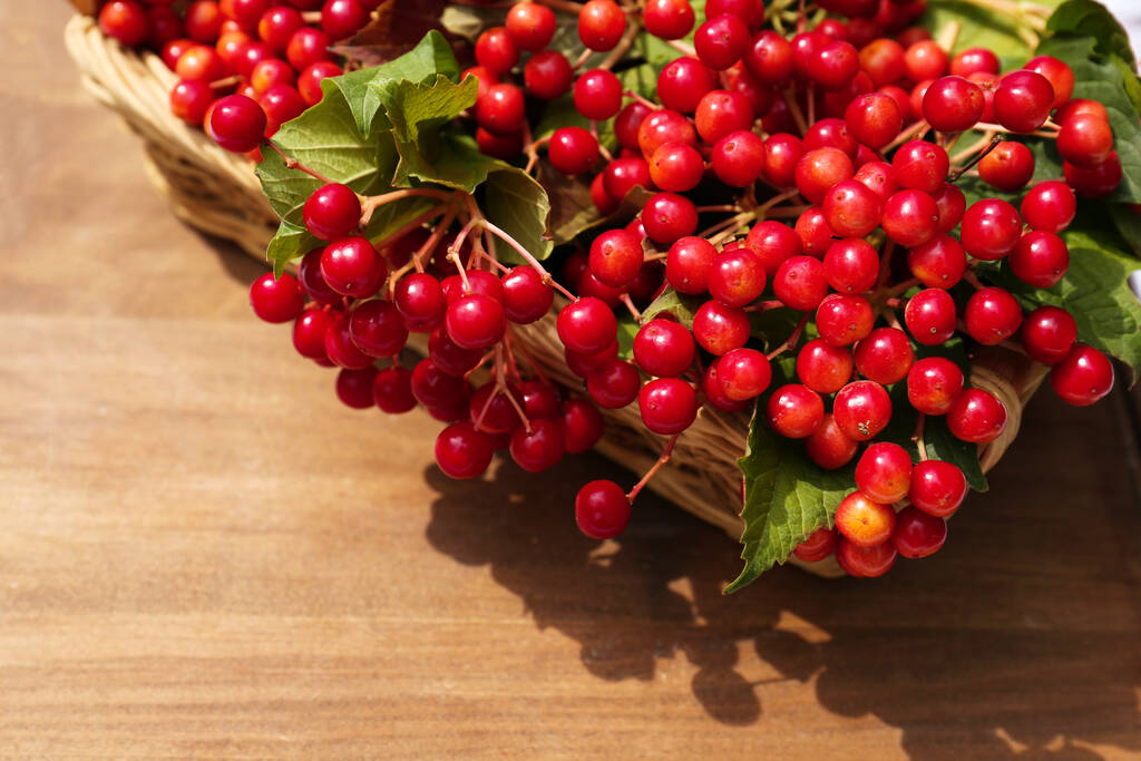 Wicker basket with ripe red viburnum berries on wooden table, closeup - Photo, Image
