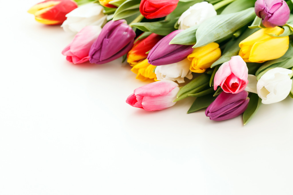 ładne tulipany bukiet - Zdjęcie, obraz