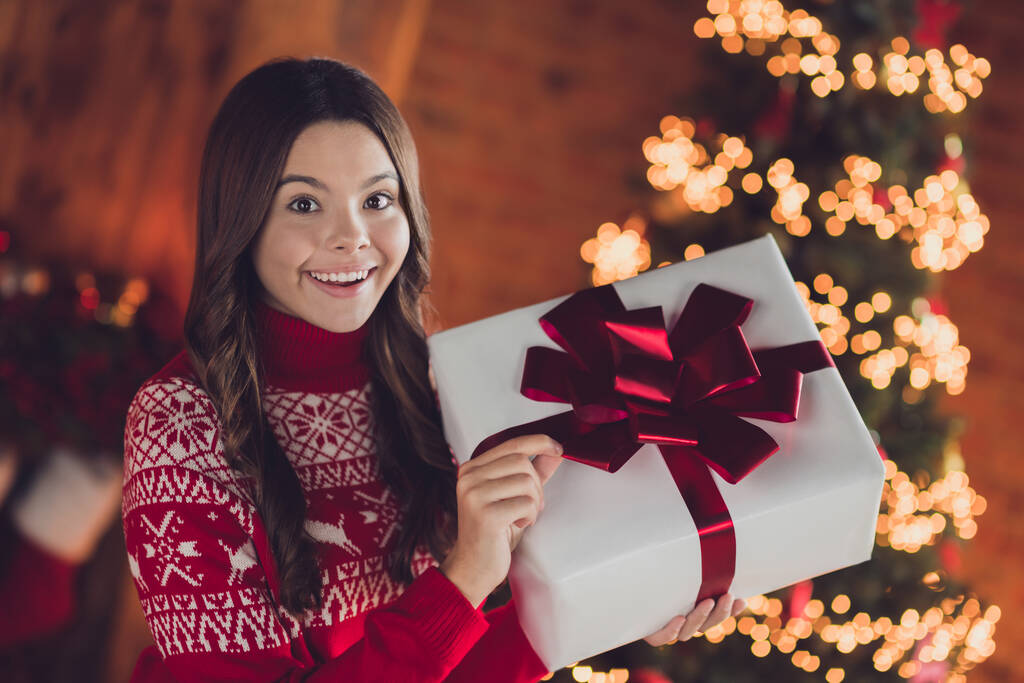 Foto von überglücklich erstaunt Dame halten Paket Box freuen Weihnachtsmann Geschenk magische Zeit Saison Abend Innenraum drinnen Haus. - Foto, Bild