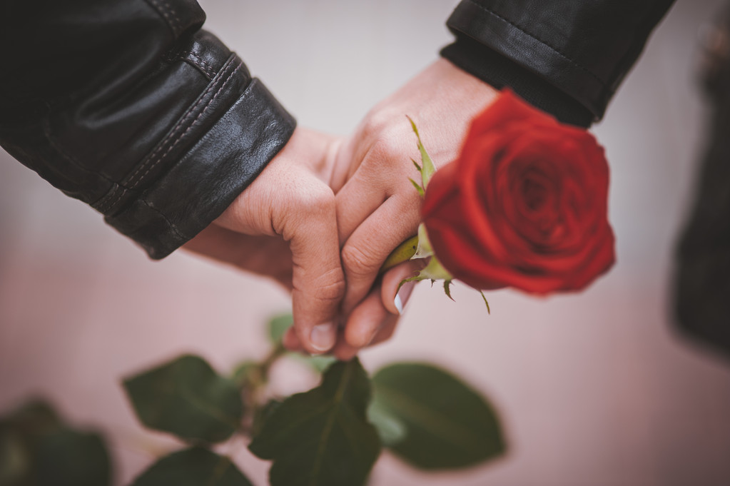 руки пары держащих красную розу
  - Фото, изображение