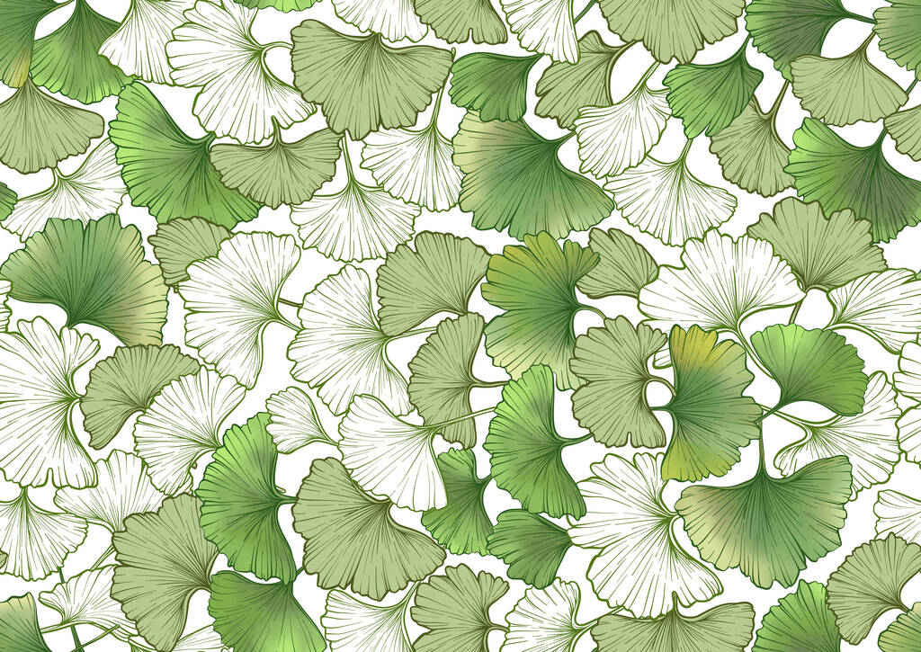 Ginkgo biloba levelek. Zökkenőmentes minta, háttér. Vektor illusztráció. Botanikai stílusban - Vektor, kép