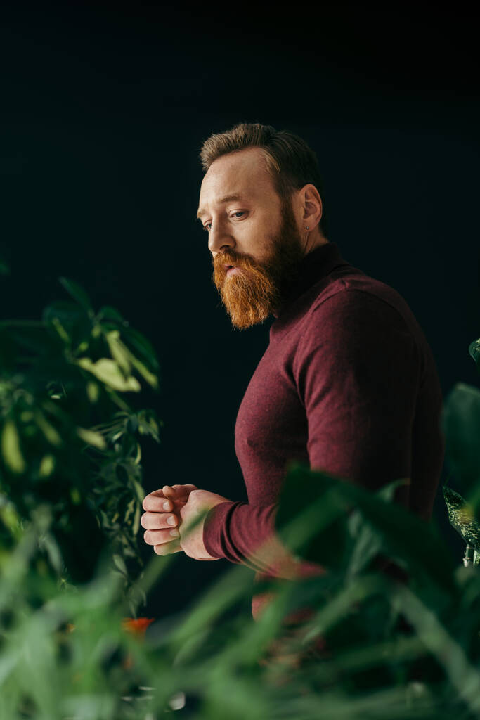 Elegante uomo barbuto in piedi vicino a piante sfocate isolate su nero  - Foto, immagini