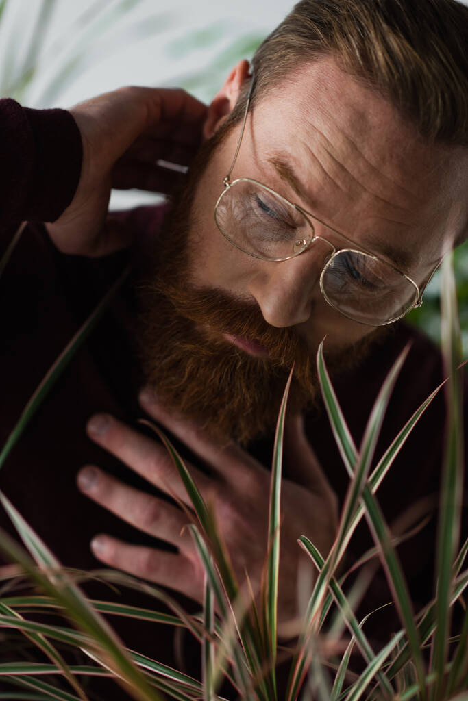 homem barbudo em óculos olhando para longe enquanto posando perto de planta borrada no cinza  - Foto, Imagem