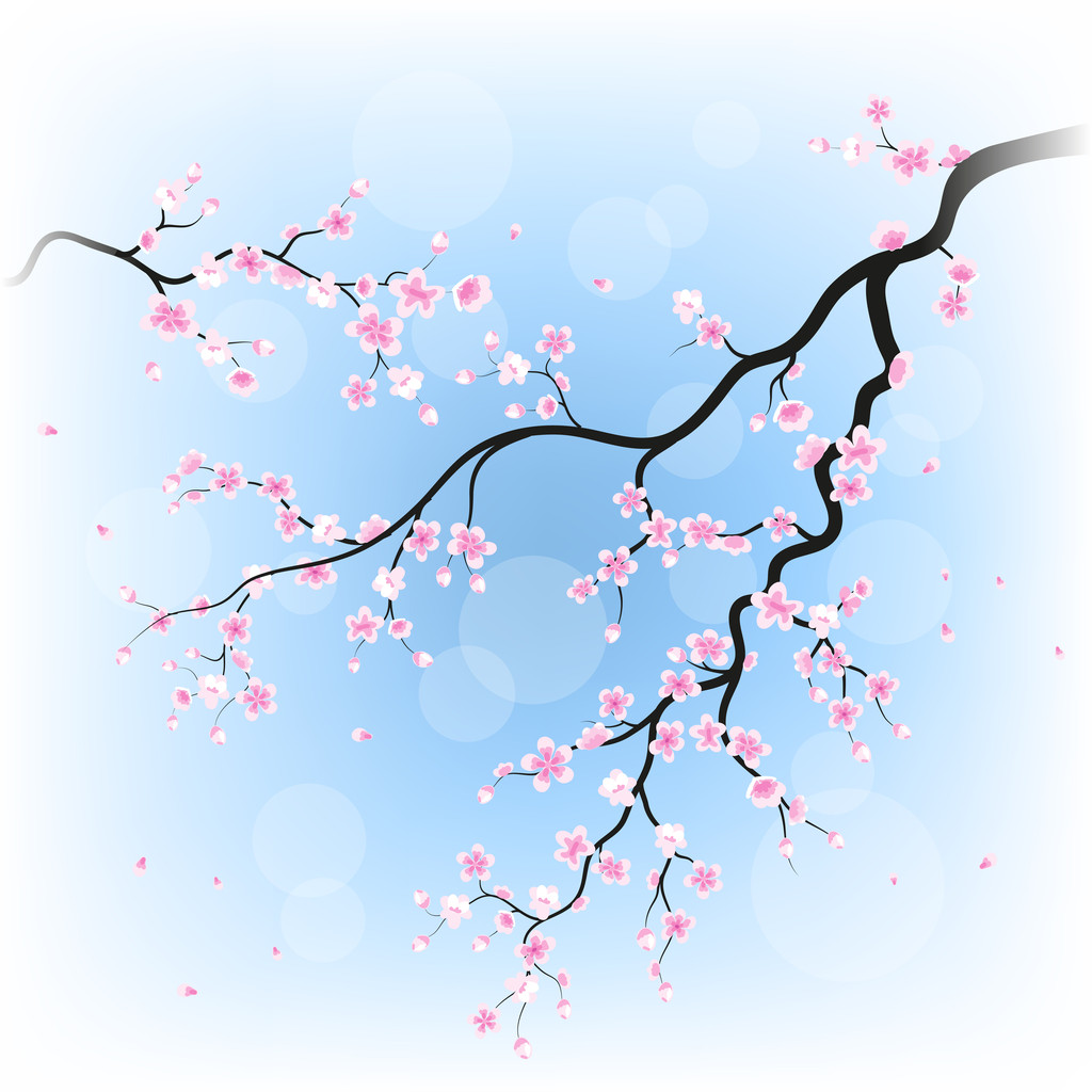 ramos de sakura
 - Vetor, Imagem