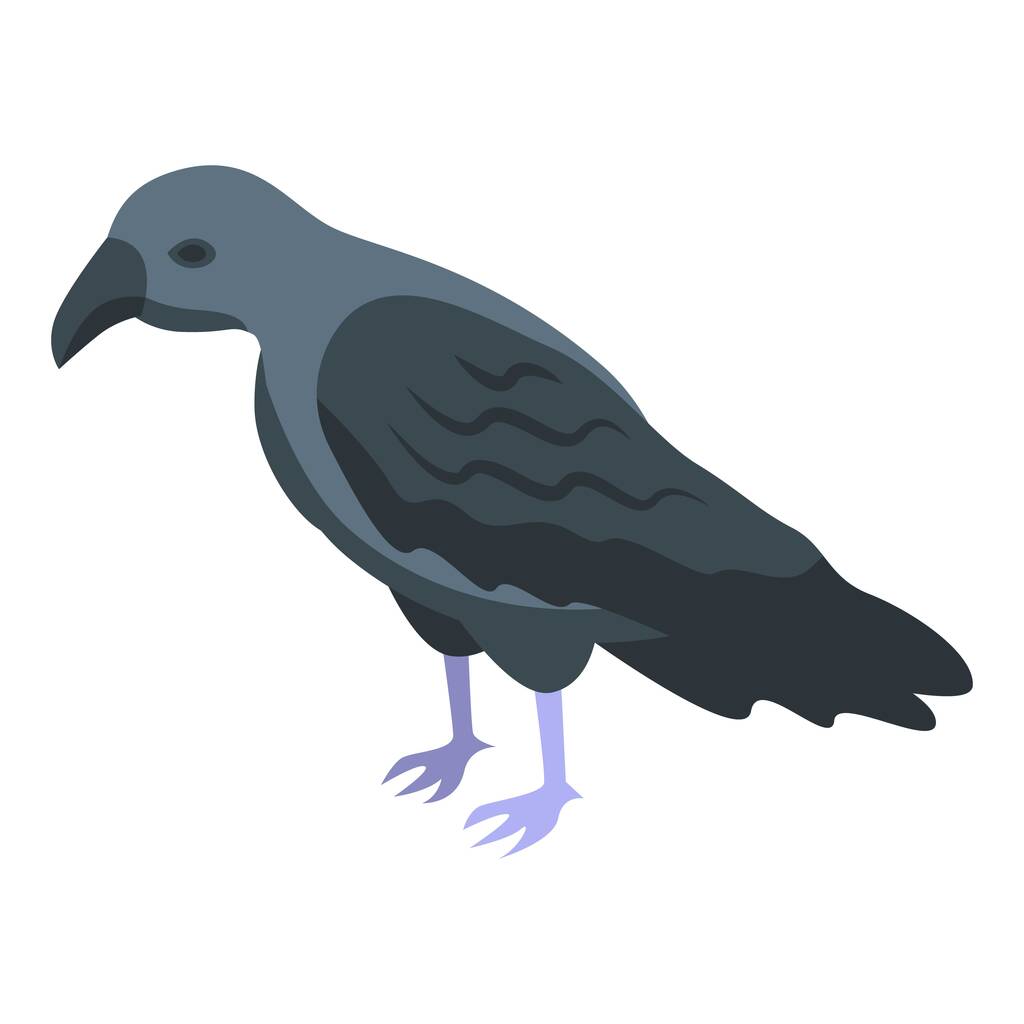 Ícone de corvo vetor isométrico. Corvo de pássaro. Natureza animal - Vetor, Imagem