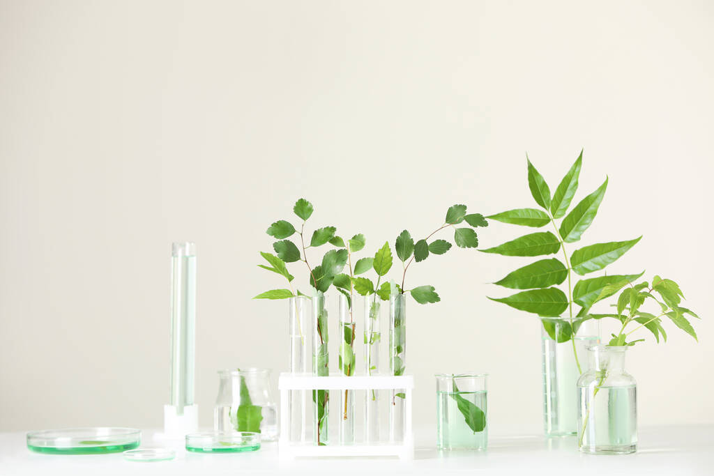Laboratorní sklo s rostlinami na bílém stole - Fotografie, Obrázek