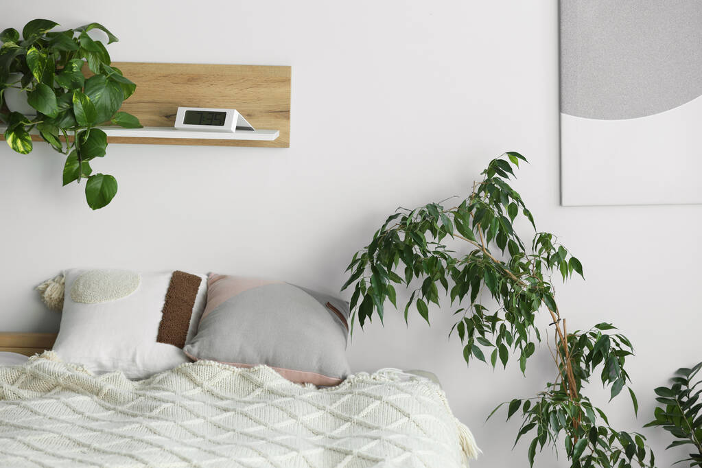 Cama suave con almohadas y plantas de interior en habitación acogedora. Diseño de interiores - Foto, Imagen
