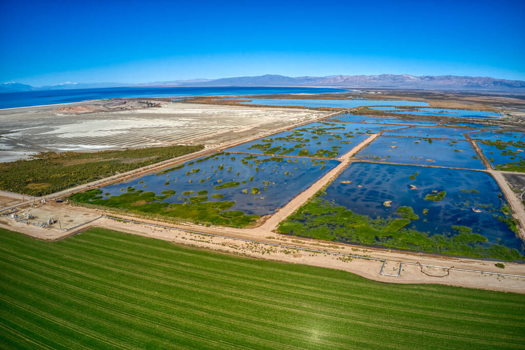 Повітряний вид на сільськогосподарські поля на березі Солтонського моря в Каліфорнії - Фото, зображення