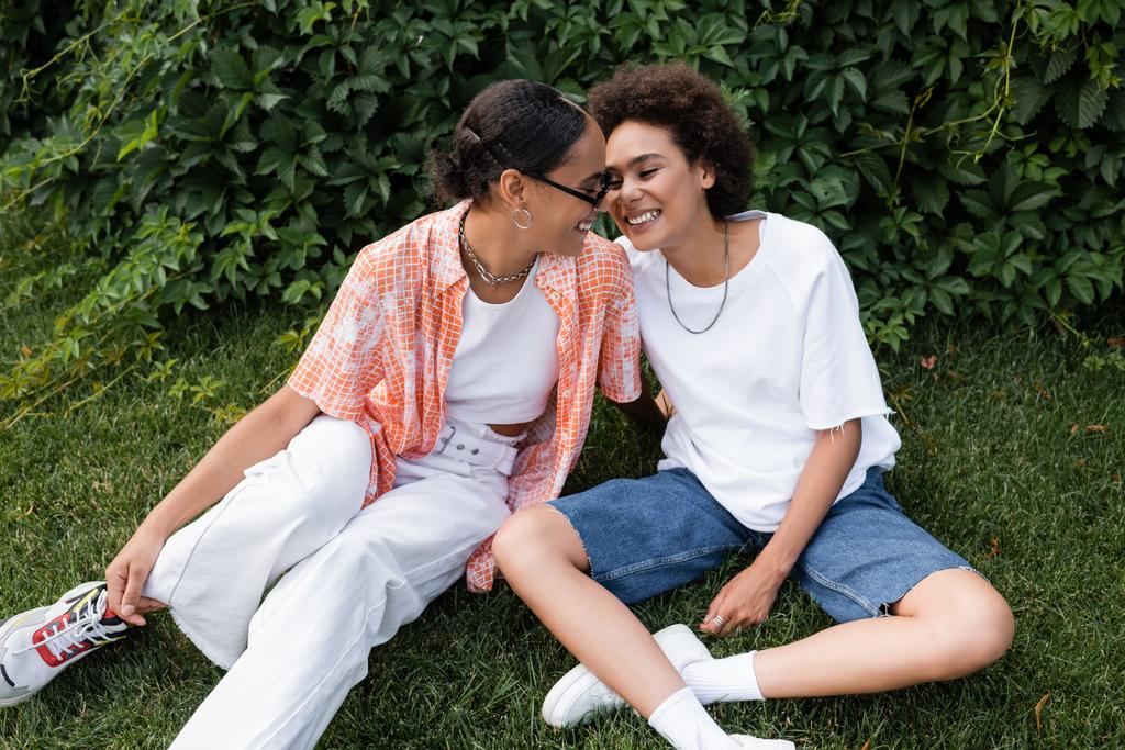 Güneş gözlüklü Afro-Amerikan lezbiyen kadın çimenlerde otururken mutlu kız arkadaşına bakıyor.  - Fotoğraf, Görsel