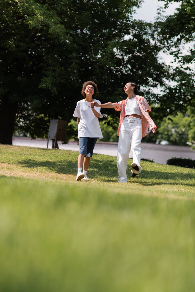 幸せなアフリカ系アメリカ人のレズビアン女性が手を取り緑の公園を歩き  - 写真・画像