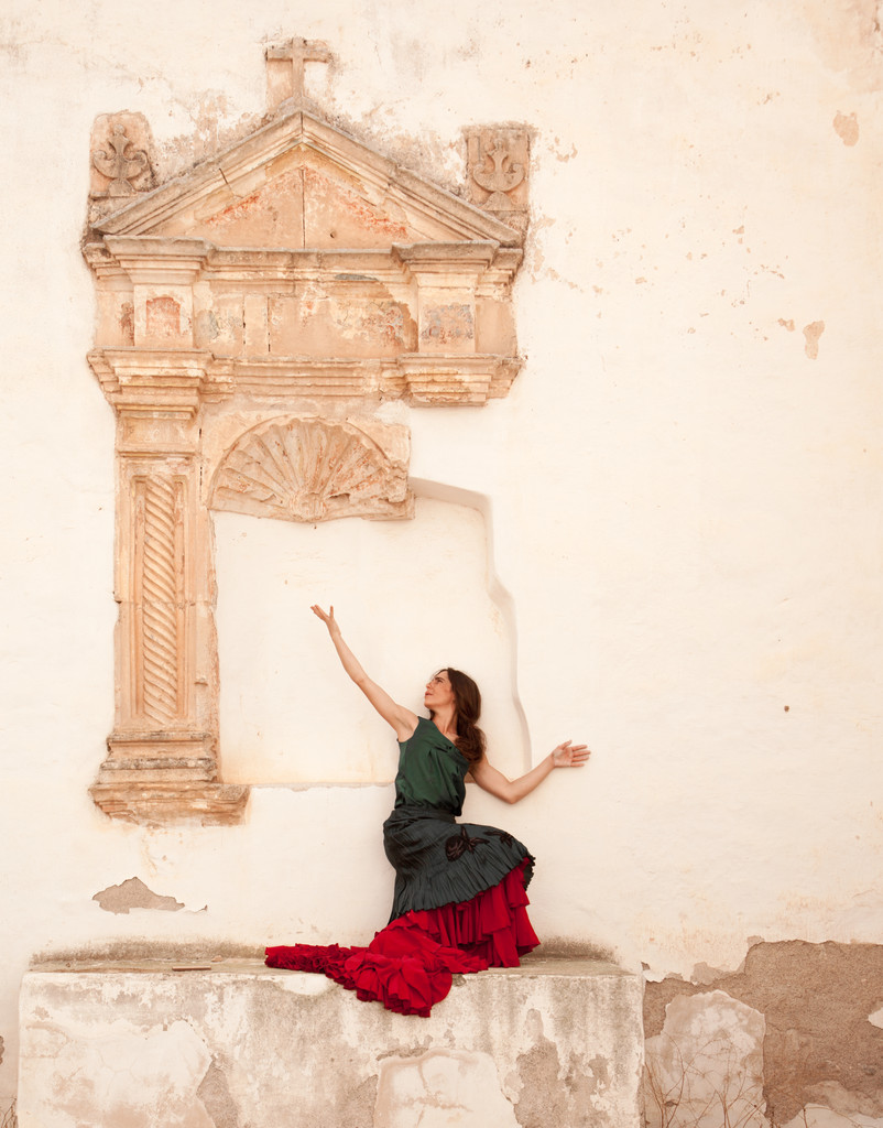 flamenco a starý kostel - Fotografie, Obrázek