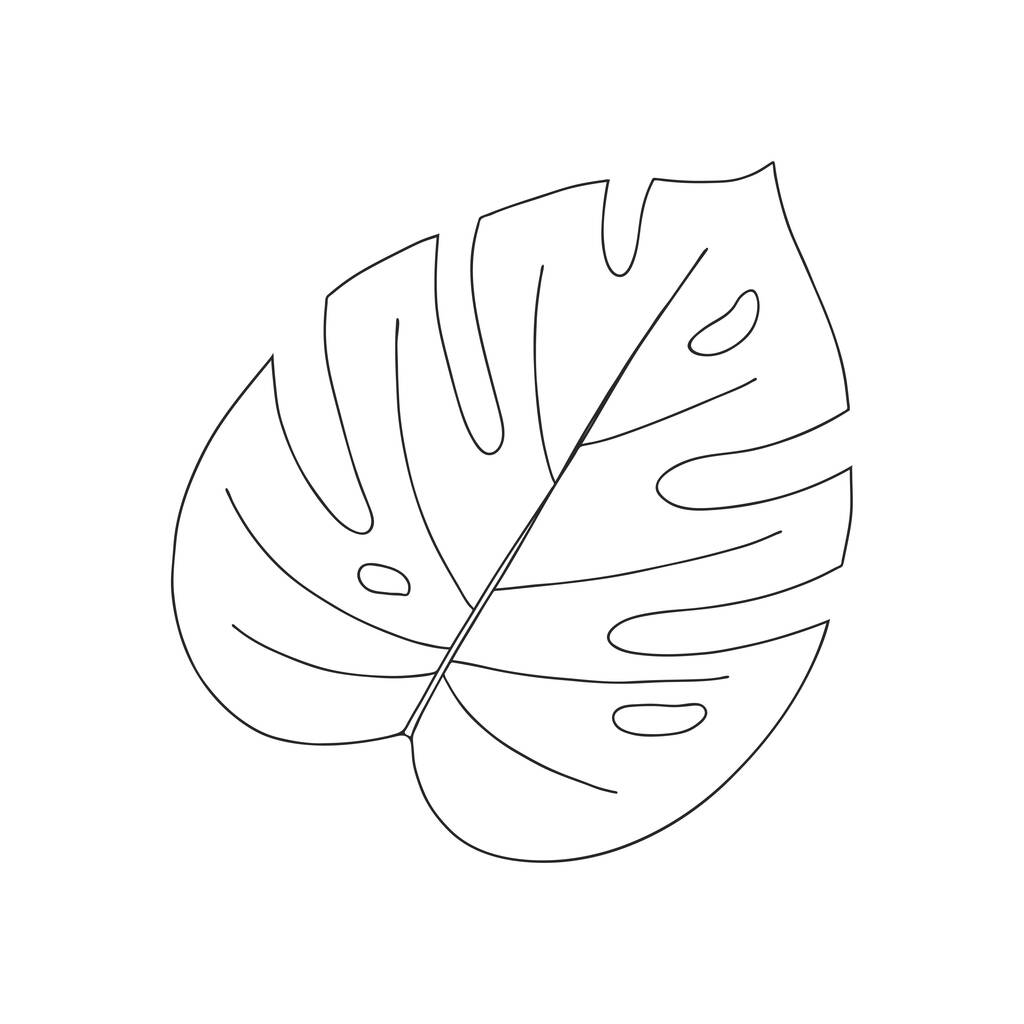 Luettelo hirviöistä. Kasvitieteellinen koriste-elementti. Trooppinen kasvi. Yksinkertainen mustavalkoinen vektorikuva, käsin piirretty, eristetty valkoisella pohjalla - Vektori, kuva