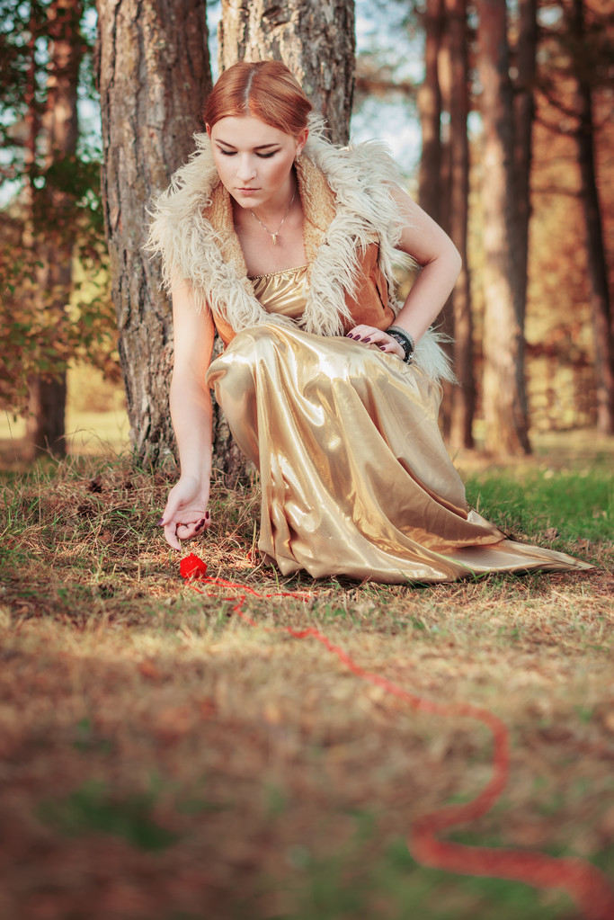 peri masalı Prenses ahşap iş parçacığı ölümcül topu ile ilgili - Fotoğraf, Görsel