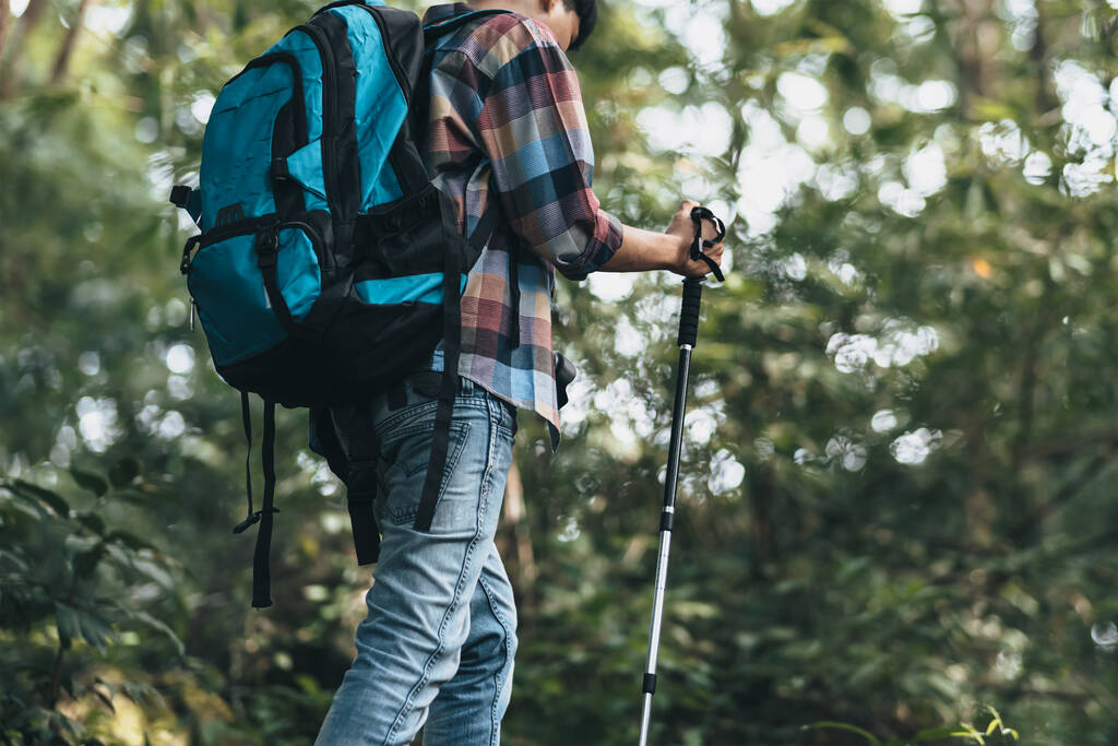 Turisté použít trekking tyč s batohy a držet stan tašku procházející lesem. turistický a dobrodružný koncept. - Fotografie, Obrázek