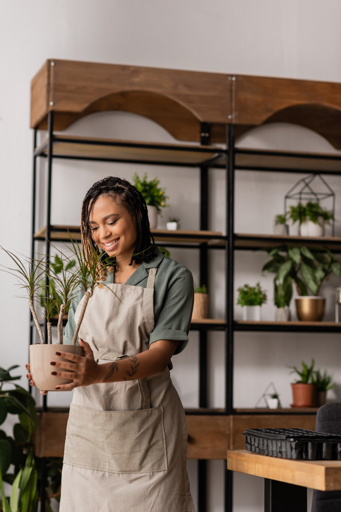 joyful african american florist in apron holding green potted plant near blurred rack in flower shop - Photo, Image