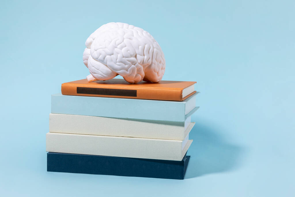 Beyin sağlığı ve bunama serisi, birikmiş kitaplar ve beyin minyatürü. - Fotoğraf, Görsel