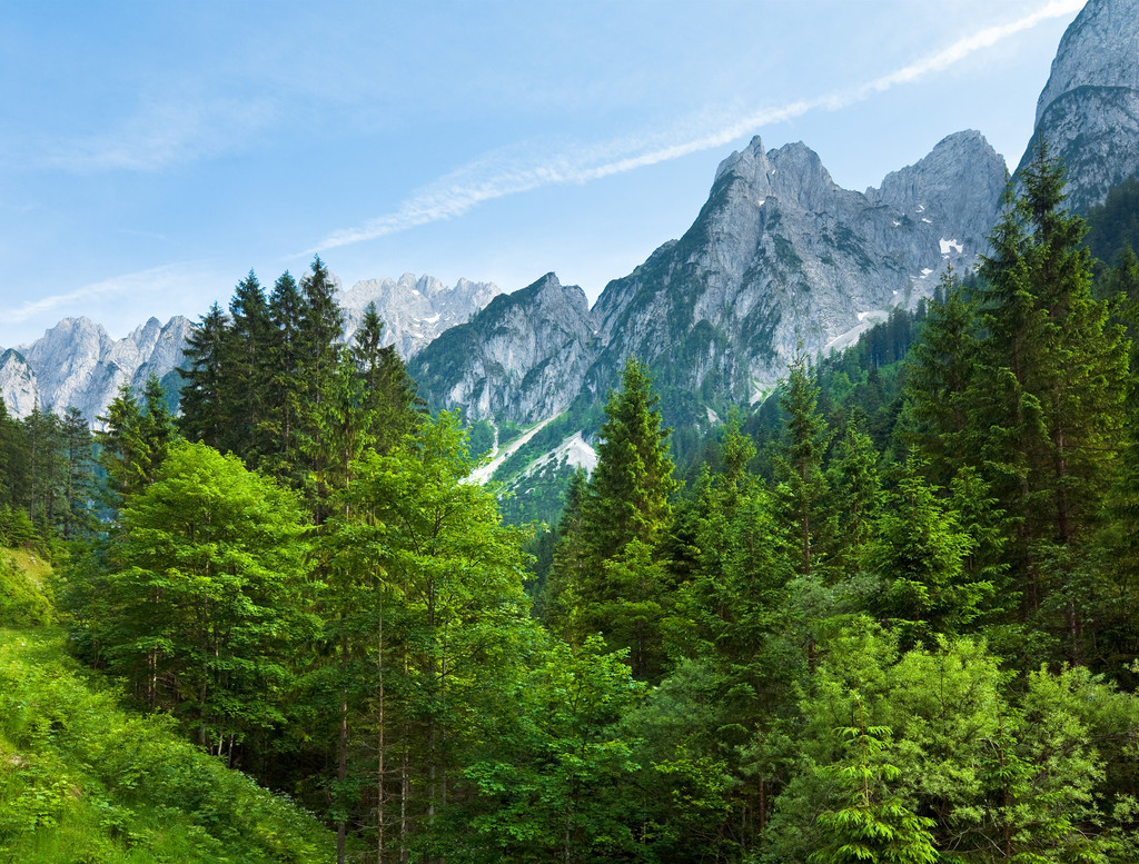 Alpi vista estate
 - Foto, immagini