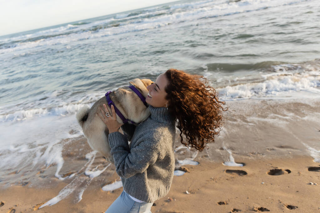 happy and curly young woman holding pug dog on beach near sea in Barcelona  - 写真・画像