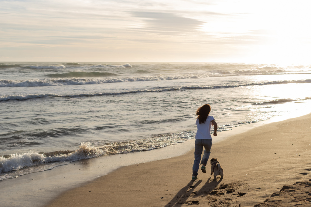 Gün batımında kumlu sahilde pug köpeğiyle koşan kadının arka görüntüsü  - Fotoğraf, Görsel