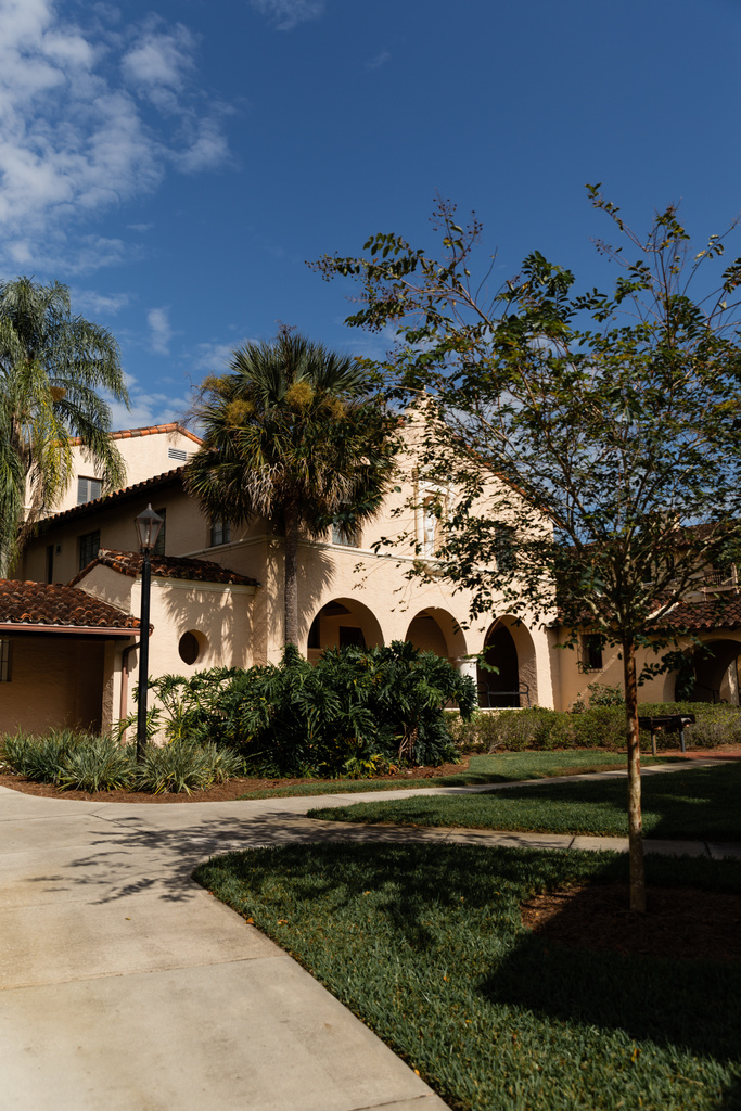 palmy w pobliżu luksusowego domu w stylu śródziemnomorskim w Miami  - Zdjęcie, obraz