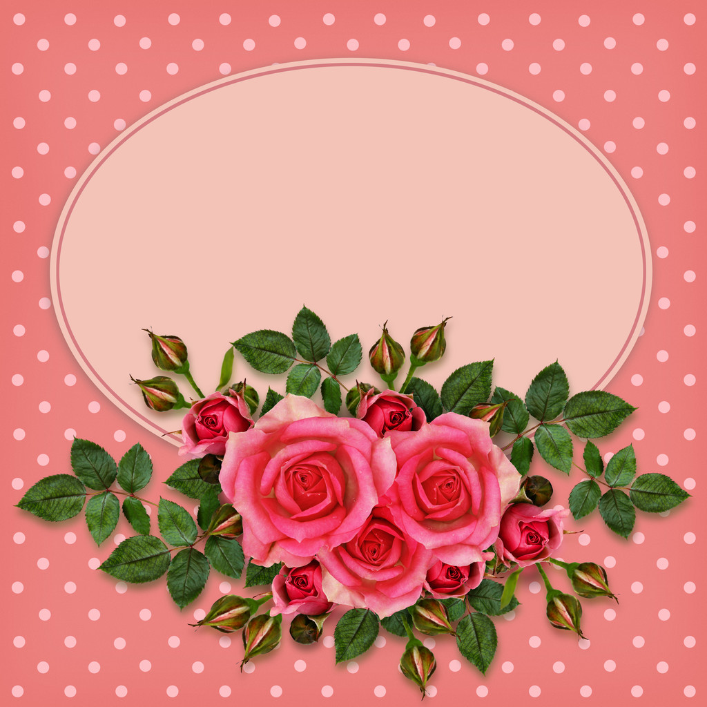 Zusammensetzung rosa Rosenblüten - Foto, Bild