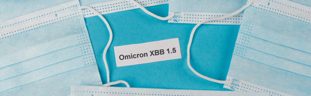 Top view of omicron xbb lettering near protective masks on blue background, banner  - Fotoğraf, Görsel