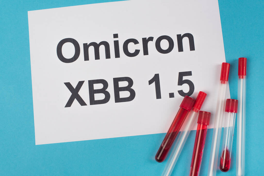 Top view of test tubes and cotton swabs near omicron xbb lettering on blue background  - Foto, immagini