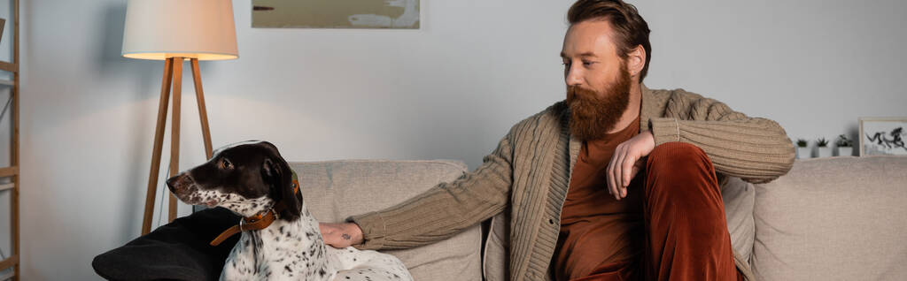Бородатый мужчина в кардигане ласкает далматинскую собаку на диване, баннер  - Фото, изображение