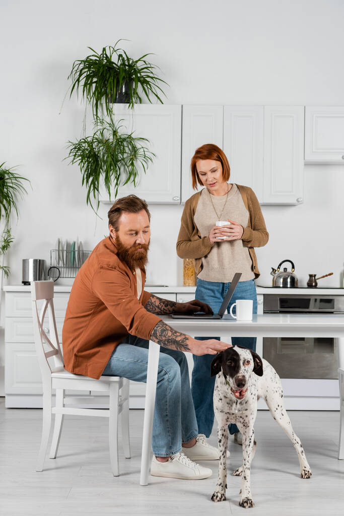 ひげを生やした男ペットダルマチア犬近くのラップトップと妻とともにカップでキッチン  - 写真・画像