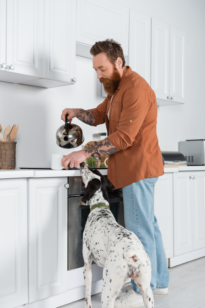 Bearded man pouring boiled water in cup with tea near dalmatian dog in kitchen  - Foto, imagen