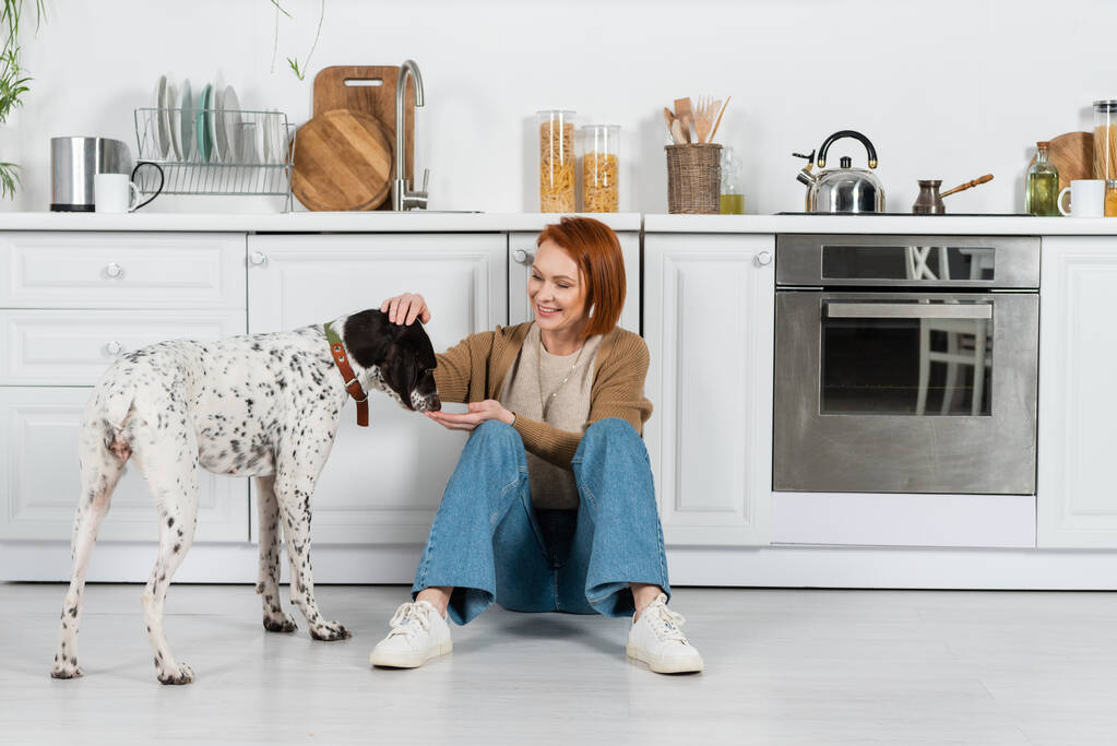 Positive redhead woman feeding dalmatian dog on floor in kitchen  - Foto, Imagem