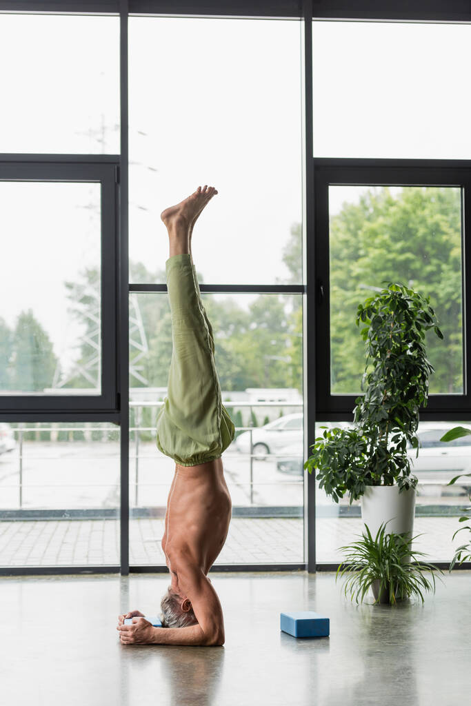 без сорочки і сіро-волохатий чоловік робить підтримувану завісу біля піноблоку йоги
  - Фото, зображення