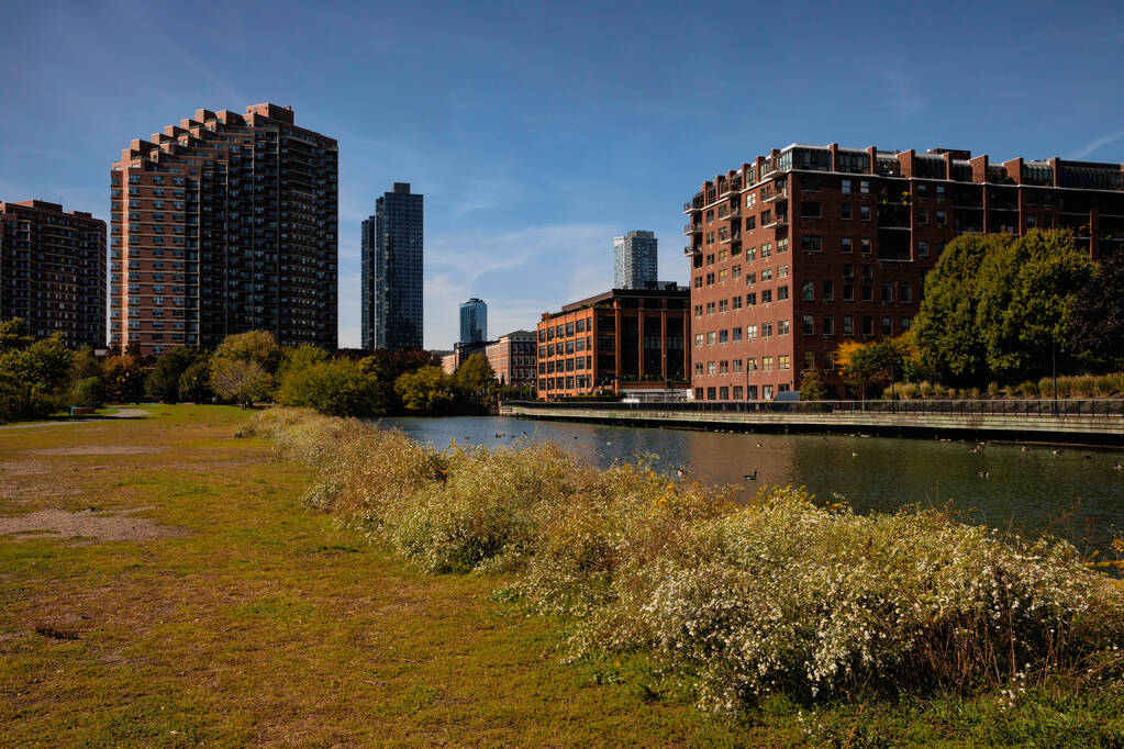 urban buildings near river and green lawn in New York City - Foto, afbeelding