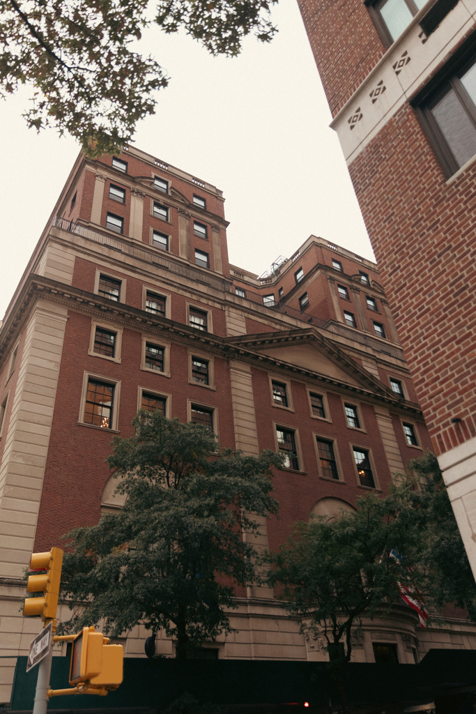 низкоугольный вид на здание рядом с деревьями и желтый светофор на улице Нью-Йорка - Фото, изображение