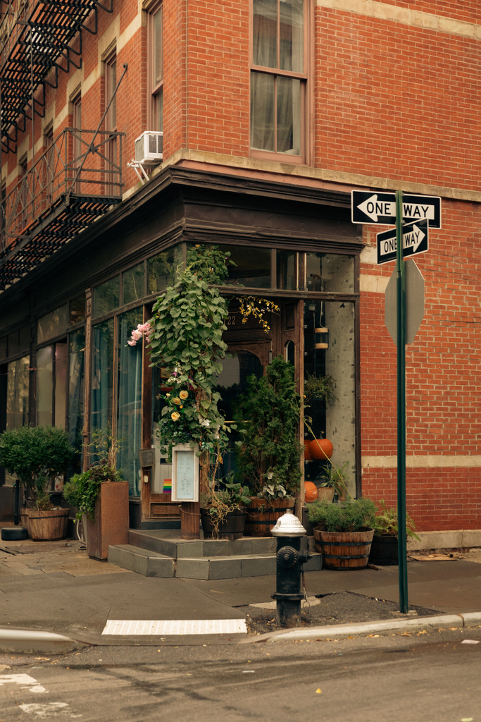 red brick building with green potted plants near shop with showcases on street with road signs in New York City - Foto, imagen