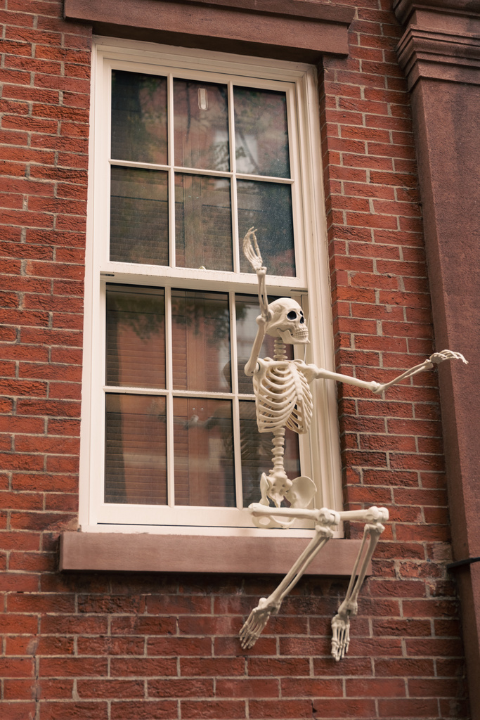 spooky Halloween skeleton on white window of brick house in New York City - Zdjęcie, obraz