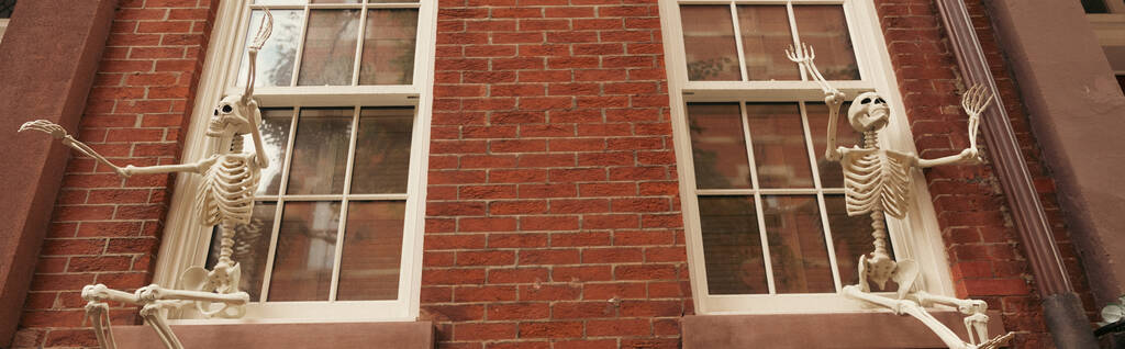 low angle view of creepy Halloween skeletons on white windows of brick house in New York city, banner - Photo, Image