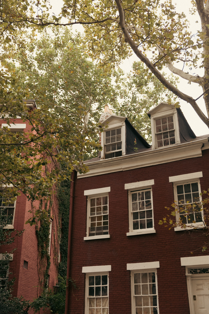 brick dwelling houses with white windows near autumn trees on street in New York City - Photo, Image